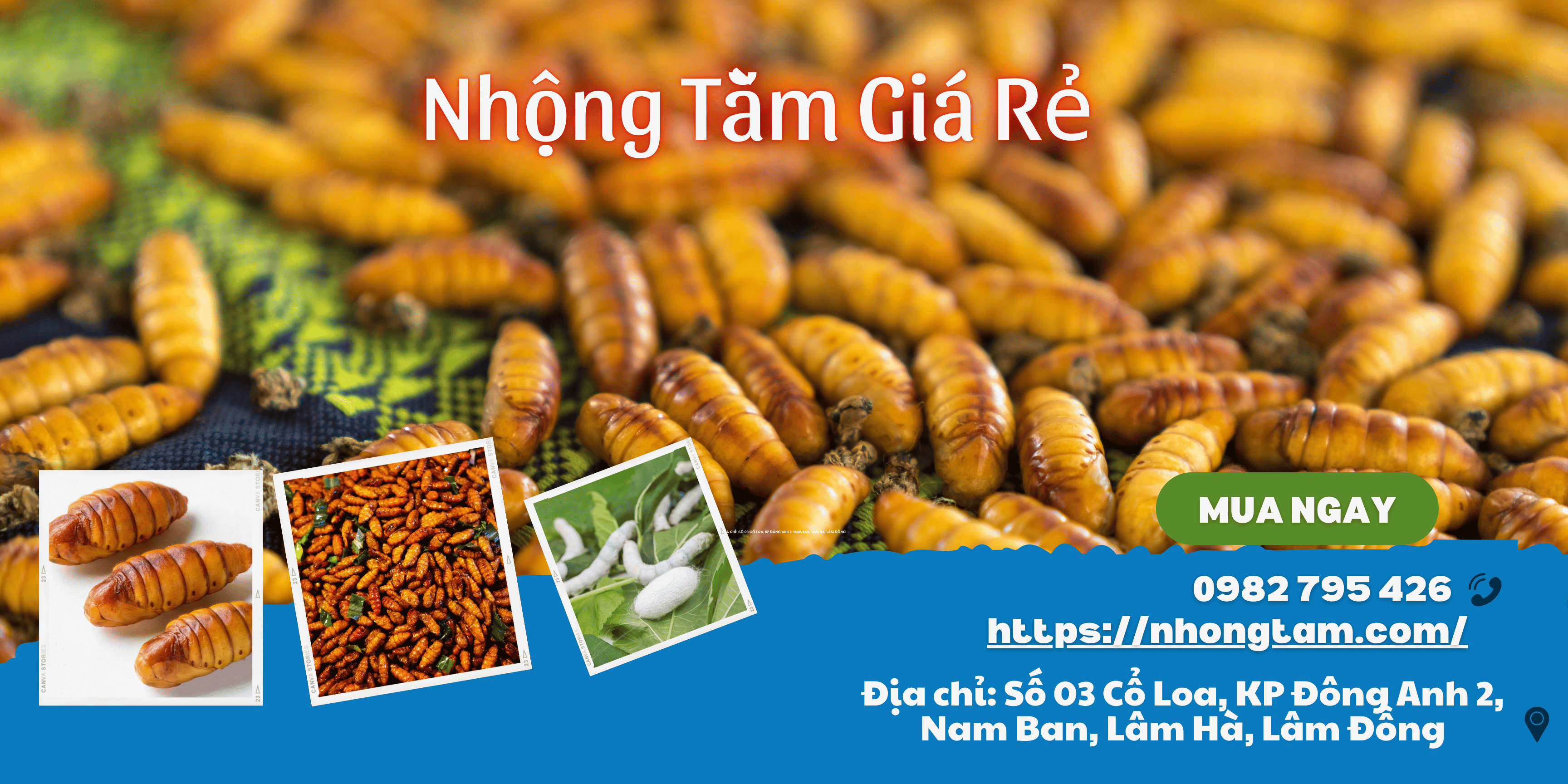 Nhộng Tằm Giá Rẻ: Lựa Chọn Thông Minh Cho Kinh Doanh và Sản Xuất